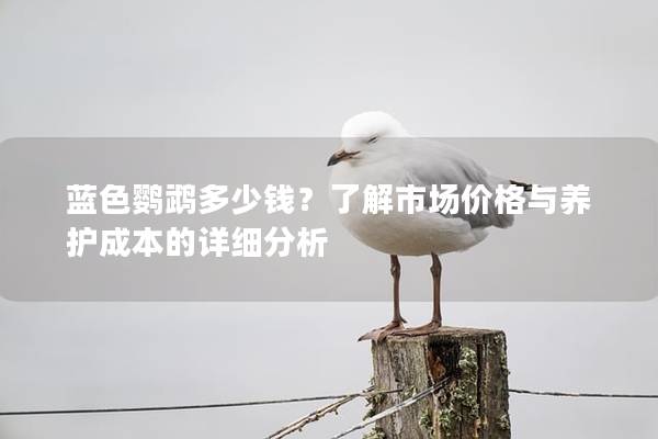 蓝色鹦鹉多少钱？了解市场价格与养护成本的详细分析