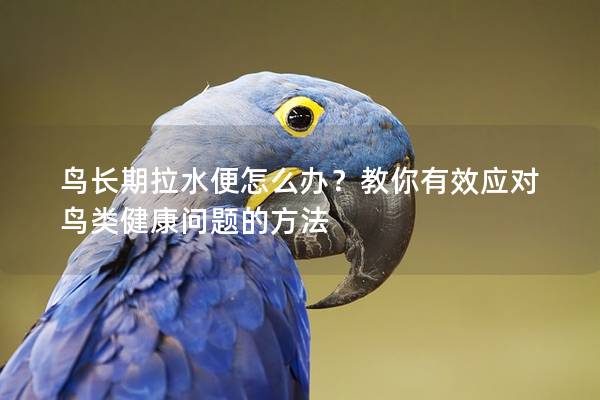 鸟长期拉水便怎么办？教你有效应对鸟类健康问题的方法